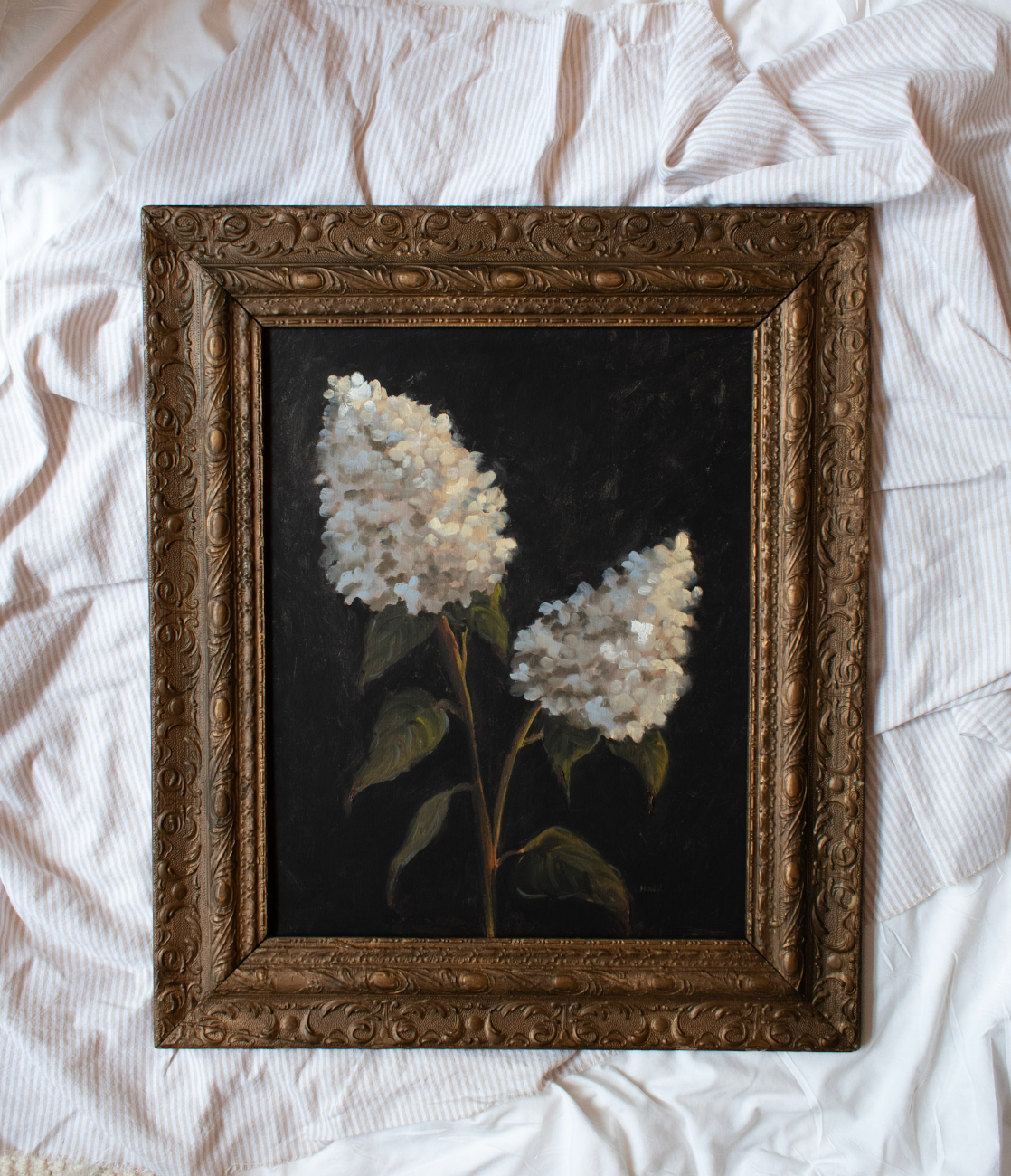 Limelight Hydrangeas II | 16x20 Antique Frame