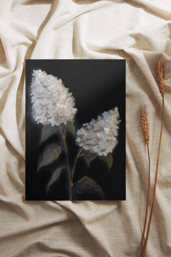 Limelight Hydrangeas II | Limited Edition Giclée Print (11x14)