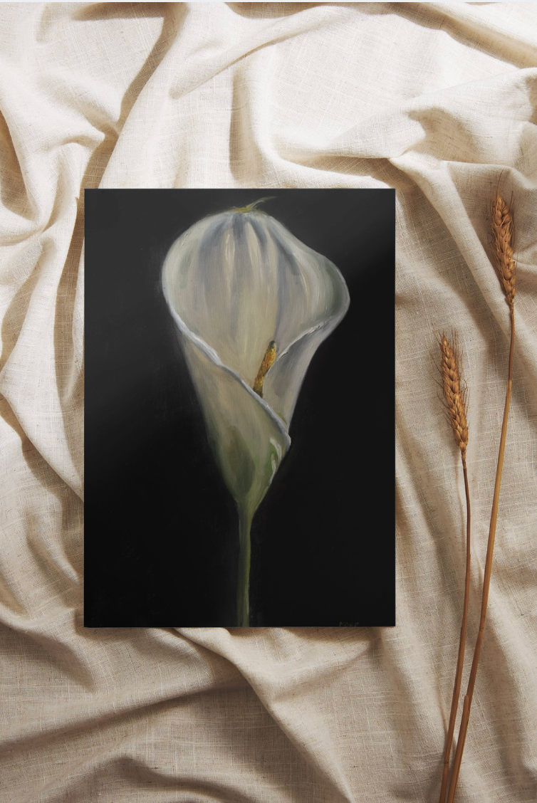 Calla Lily | Limited Edition Giclée Print (11x14)