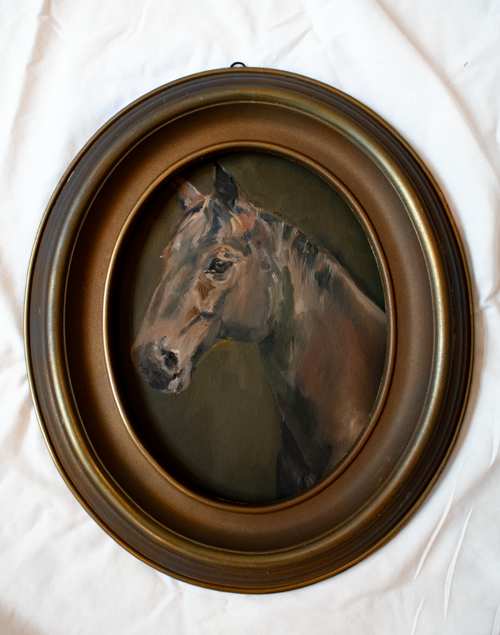 Portrait of a Horse | 8x10 Vintage Frame