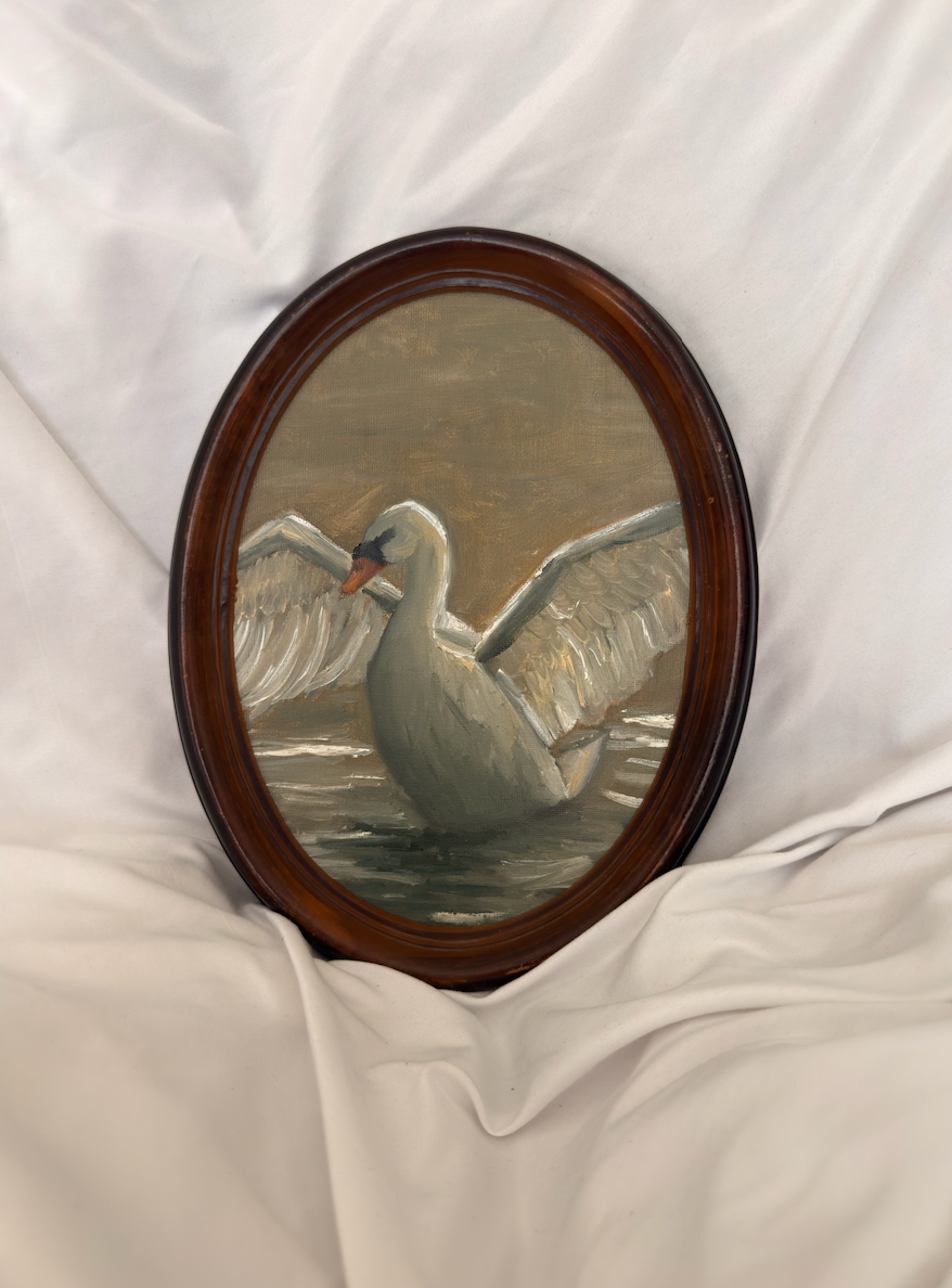 Swan Portrait | Vintage 8x10 Frame