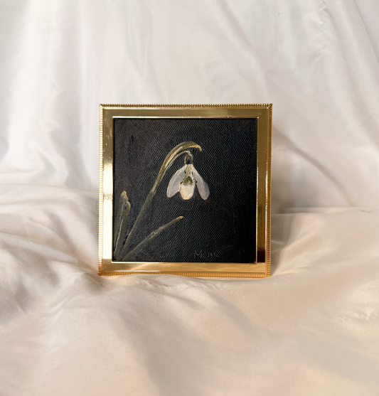 Snowdrop | 4x4 Vintage Inspired Frame