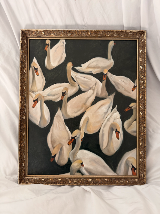 Bevy of Swans | 16x20 Vintage Frame