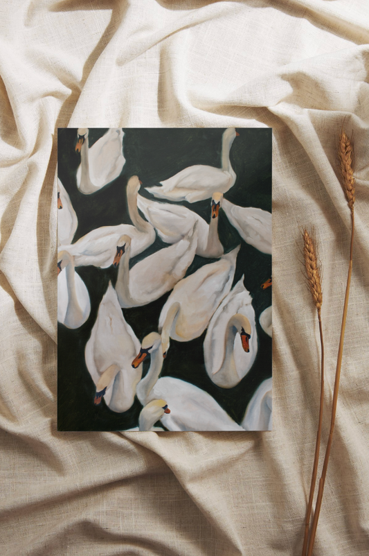 Bevy of Swans | Limited Edition Giclée Print (11x14)