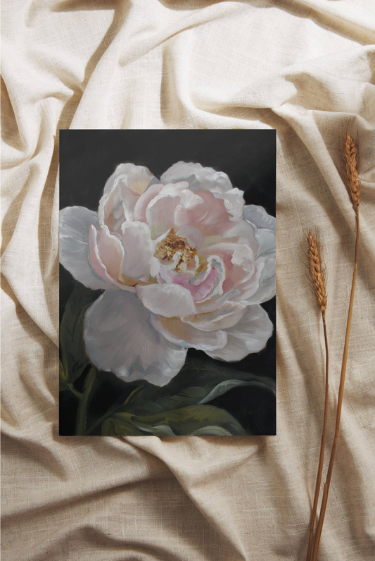 Peony | Limited Edition Giclée Print (11x14)