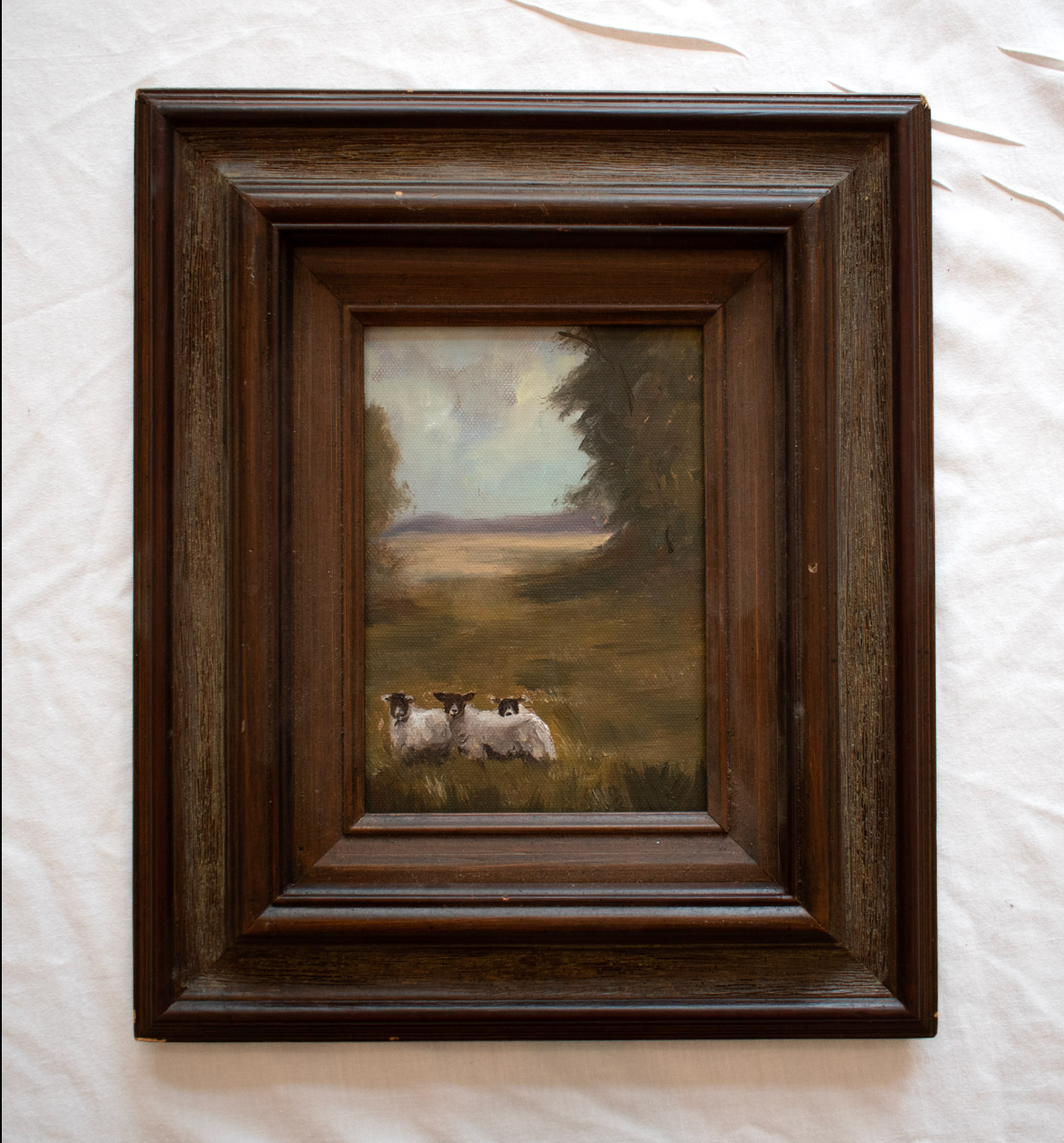 Three Sheep | 5x7 Vintage Frame