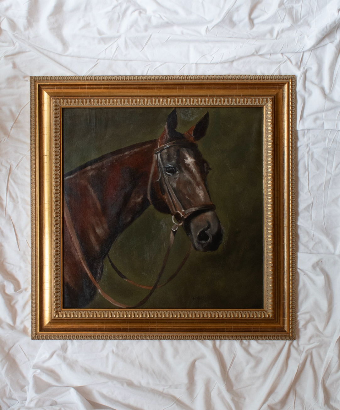 Horse Study | 20x20 Vintage Frame