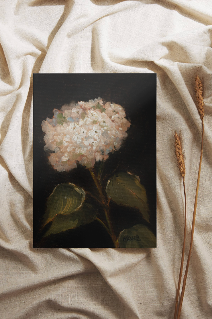 White Hydrangea | Limited Edition Giclée Print (8x10)