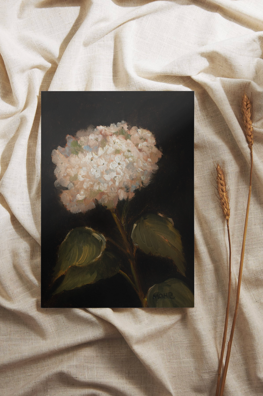 White Hydrangea | Limited Edition Giclée Print (8x10)